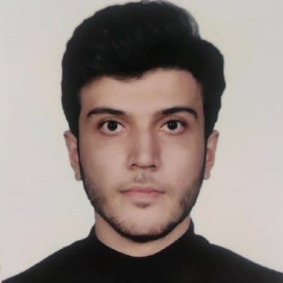 Mehmet Arif Pehlivan